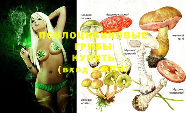 марки lsd Медногорск