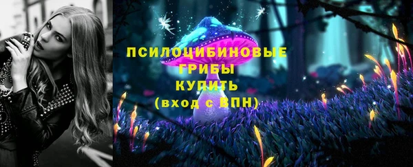 марки lsd Медногорск