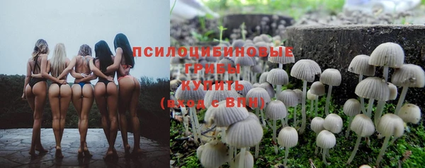 соль курить ск Медвежьегорск