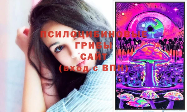 марки lsd Медногорск