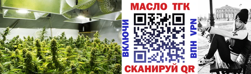 ТГК Wax  Купить где  Пласт 