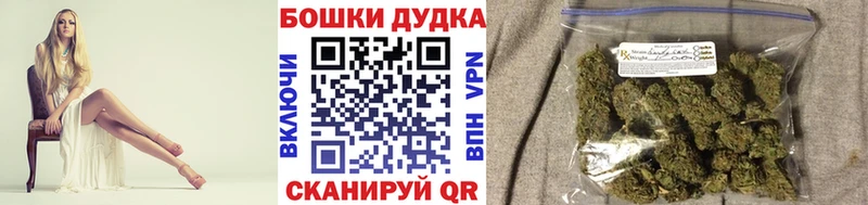 Купить где  Пласт  Бошки марихуана OG Kush 
